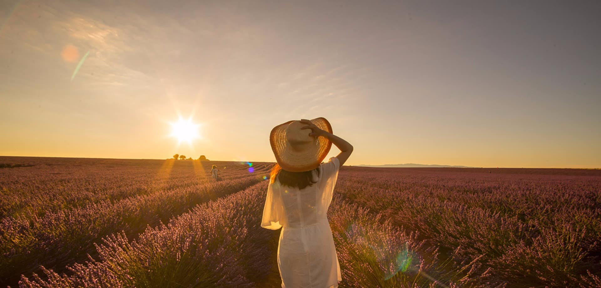 Franca aix en provence campo de lavanda